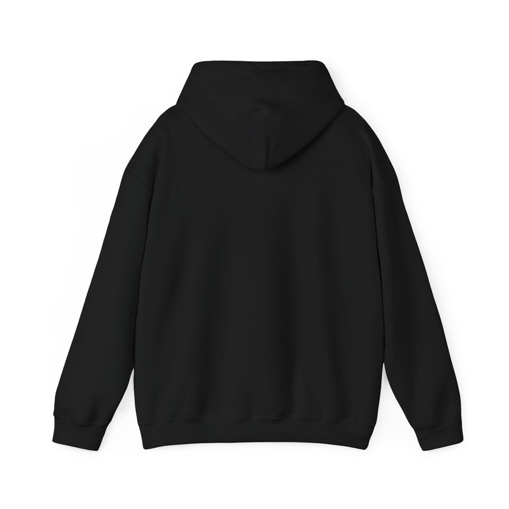 Hoodie — 'The United States Has Spent an Estimated 1 Trillion on the War on Drugs' harm reduction